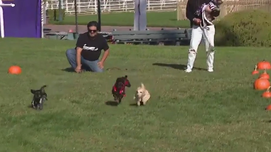 Inside the Santa Anita Park Pumpkin Fest