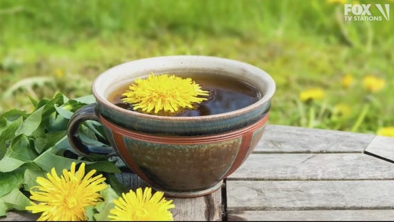 Do dandelions deserve the title of weed?