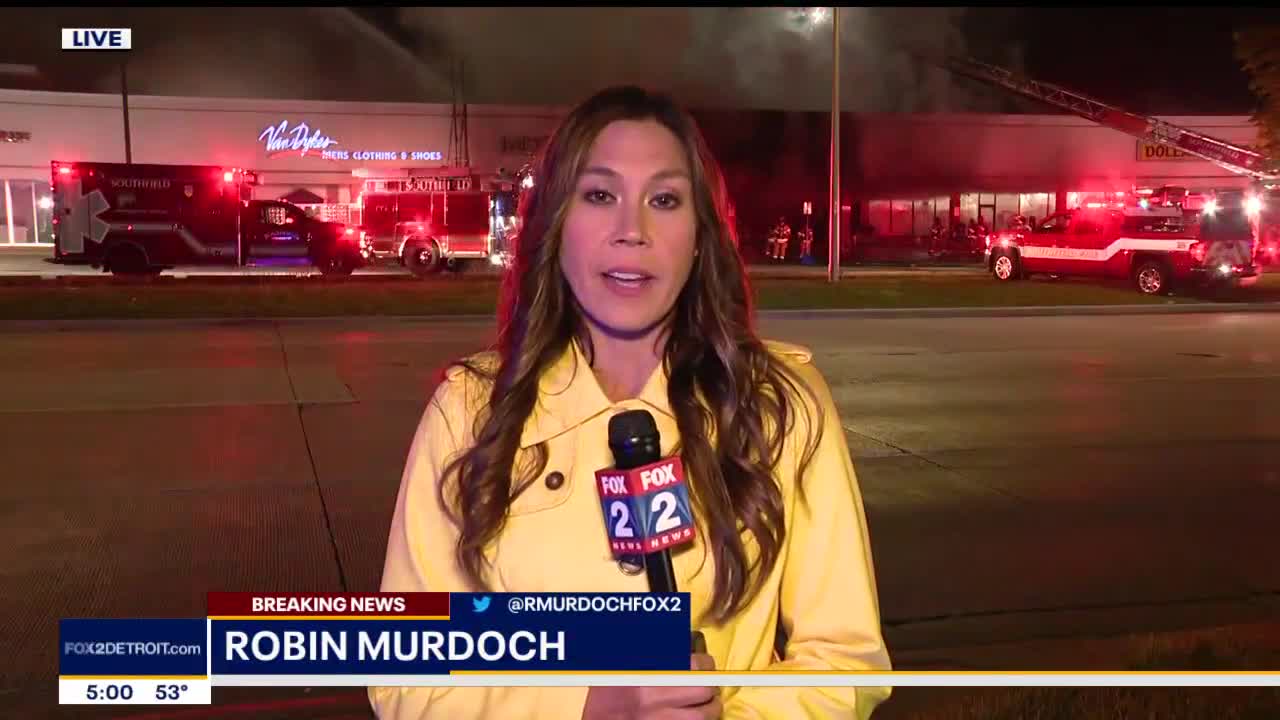 Southfield strip mall goes up in flames