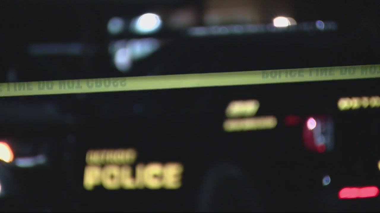 Resources available for victims of domestic violence | FOX 2 Detroit