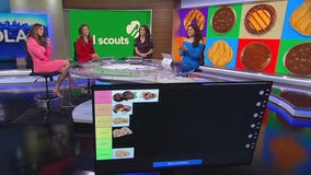GDLA+ Makes a "Tier List" for Girl Scout Cookies