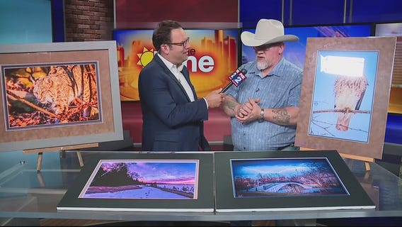 Kensington Metro Park Art Fair allows for family fun this weekend