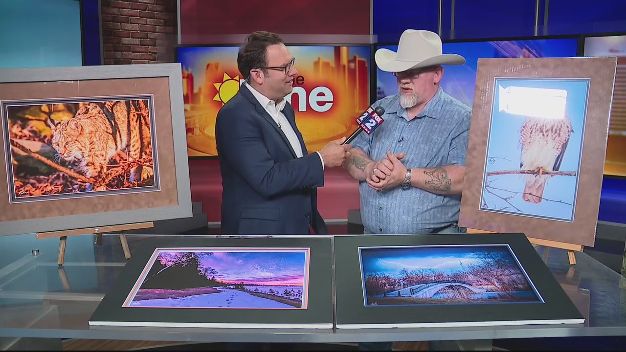 Kensington Metro Park Art Fair allows for family fun this weekend