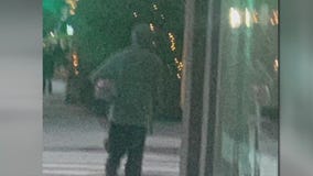 6-year-old girl attacked in Santa Monica