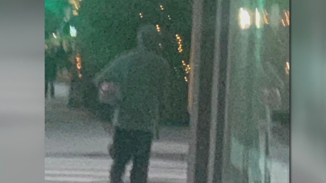 6-year-old girl attacked in Santa Monica