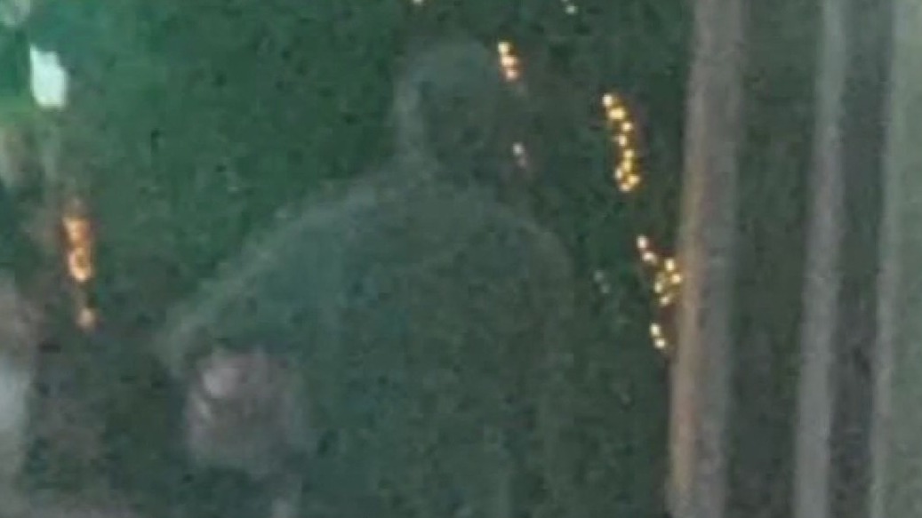 Man arrested in attack of 6-year-old girl