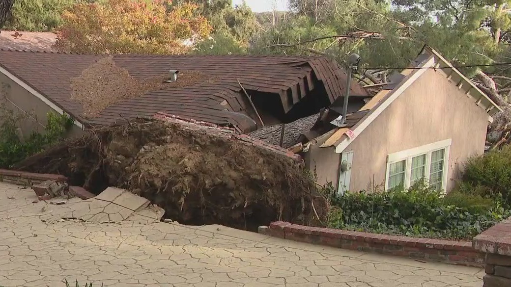 Strong winds down trees, destroying homes