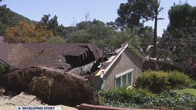 Trees knocked down across Southern California