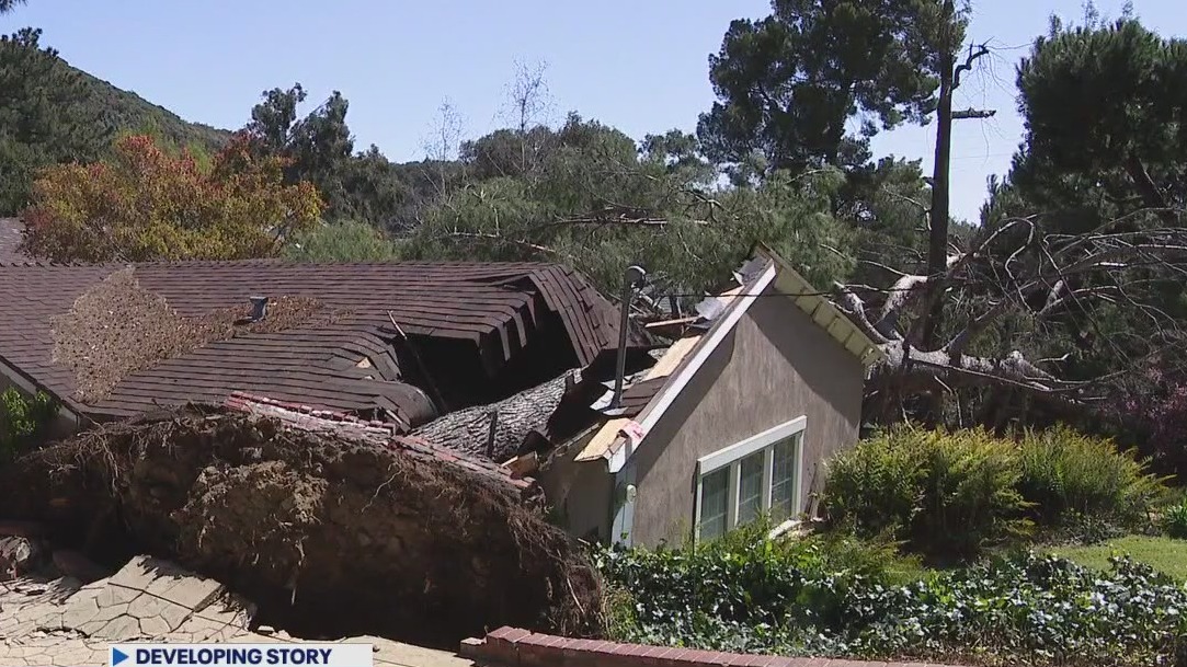 Trees knocked down across Southern California