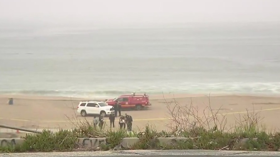 Body found in search for missing swimmer