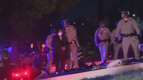 Demonstrators arrested protesting mom's eviction