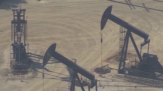 Newsom, Schwarzenegger teaming up