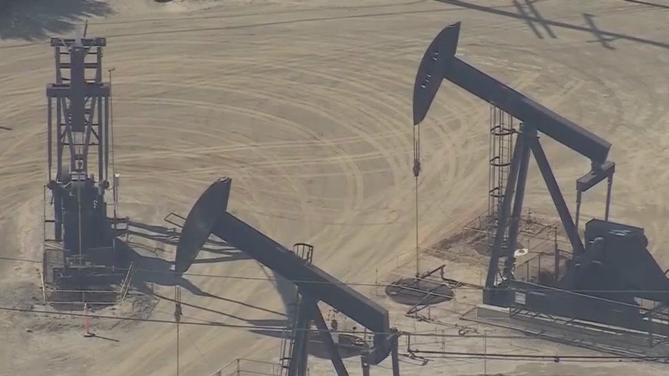 Newsom, Schwarzenegger teaming up