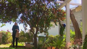 Volunteers housing homeless youth