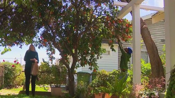 Volunteers housing homeless youth