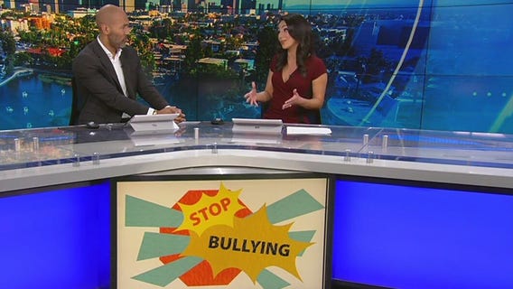 The impact of bullying on children