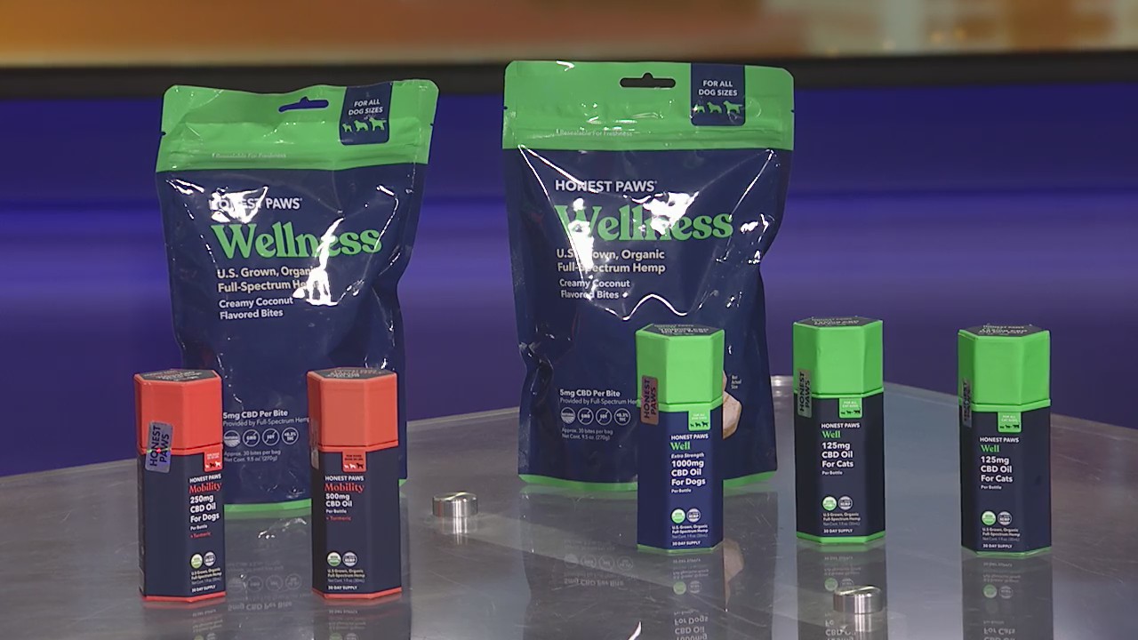 Keep your fur babies calm during fireworks season