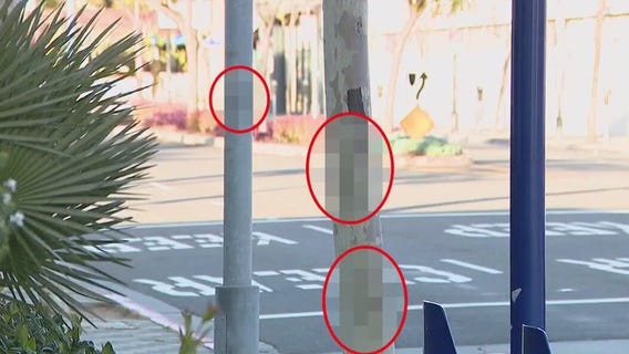 Authorities investigating antisemitic graffiti