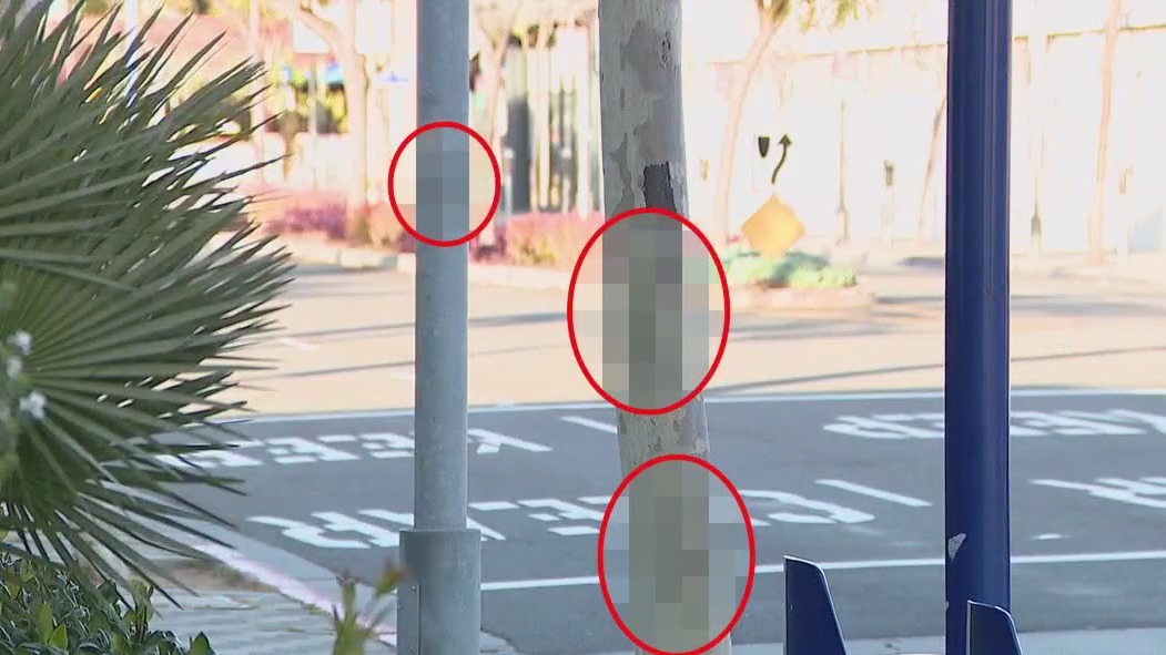 Authorities investigating antisemitic graffiti