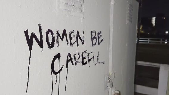 Two women violently assaulted in Venice