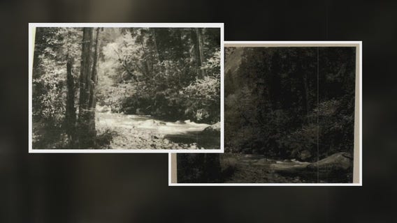 Michigan art dealer pleads guilty in massive fraud case