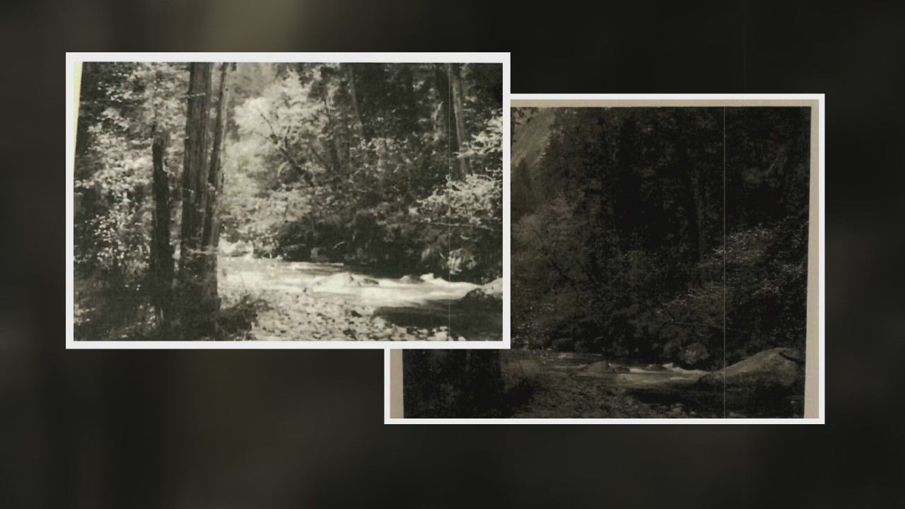 Michigan art dealer pleads guilty in massive fraud case