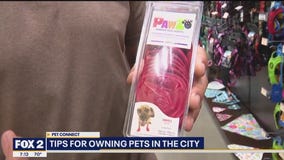 Tips for owning a pet in the city with Premier Pet Supply