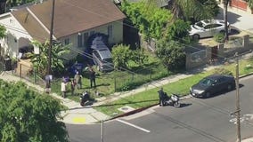 1 arrested after car slams into South LA home