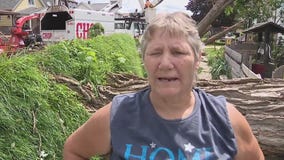 Ecorse woman reeling after tree smashes through home