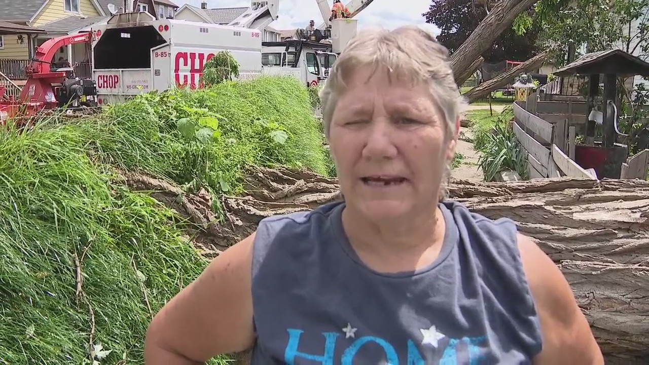 Ecorse woman reeling after tree smashes through home