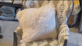 Consigning Couture: A sustainable way to revamp your living space