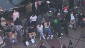 Dozens arrested in pro-Palestine protests