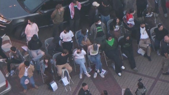 Dozens arrested in pro-Palestine protests