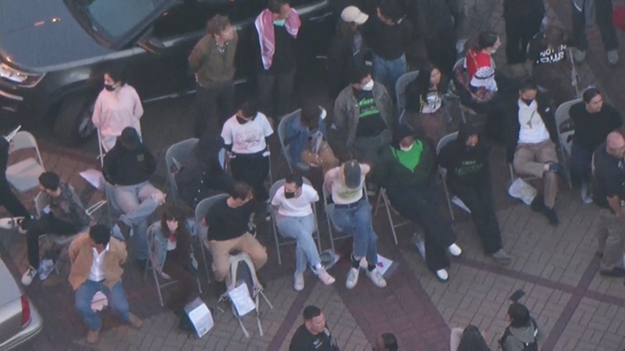 Dozens arrested in pro-Palestine protests