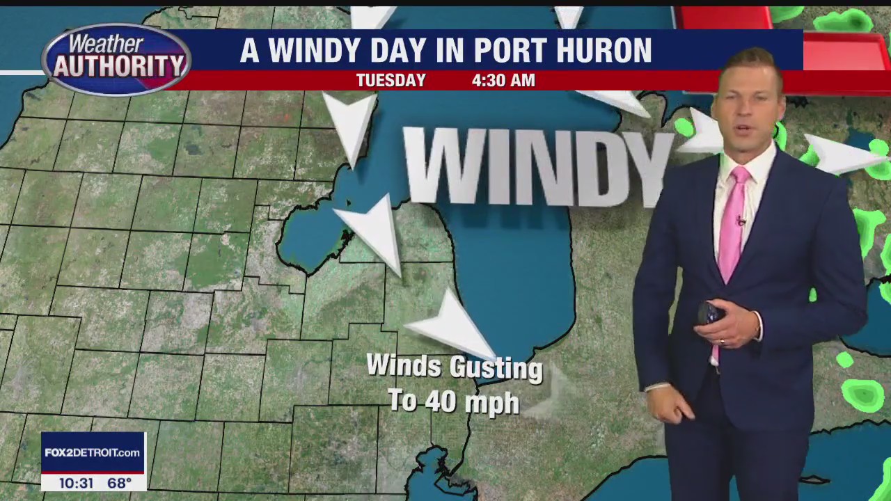 Morning showers ended and the sun eventually got here | FOX 2 Detroit