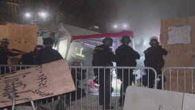 Revisiting UCLA pro-Palestine protests