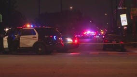 Deputies shoot 'disturbance' suspect