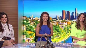 Amazon dupes for designer handbags