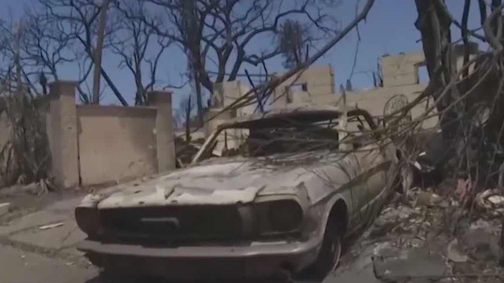 New images showing Hawaii fires, celebrities take action