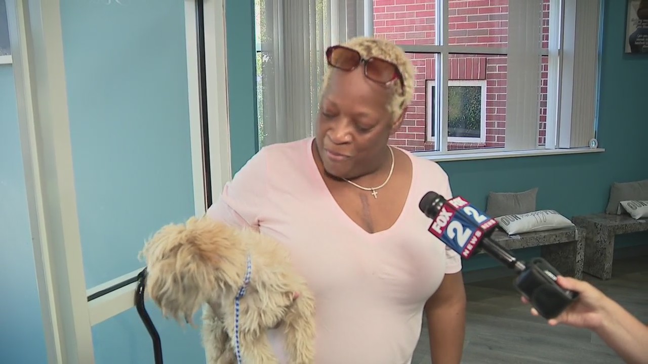 Therapy dog reunited with family months after disappearing