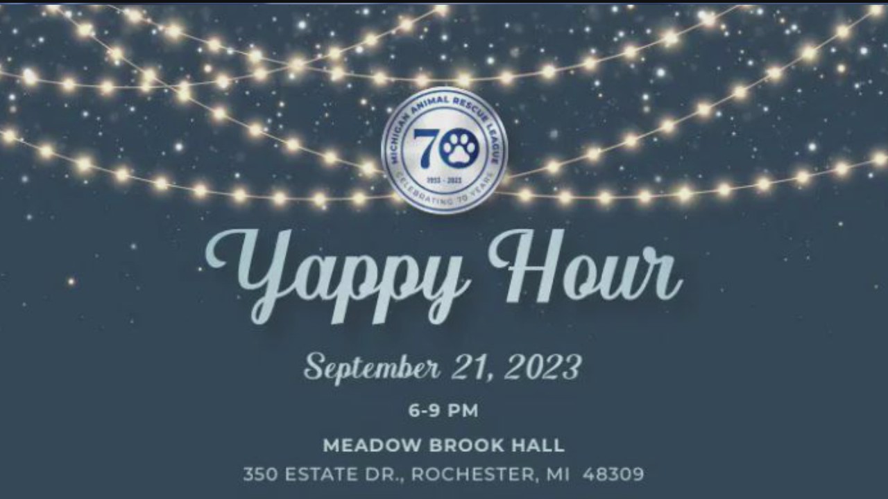 The only cocktail party in Metro Detroit where your dog is invited