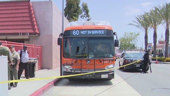 Officials seek solutions amid Metro violence