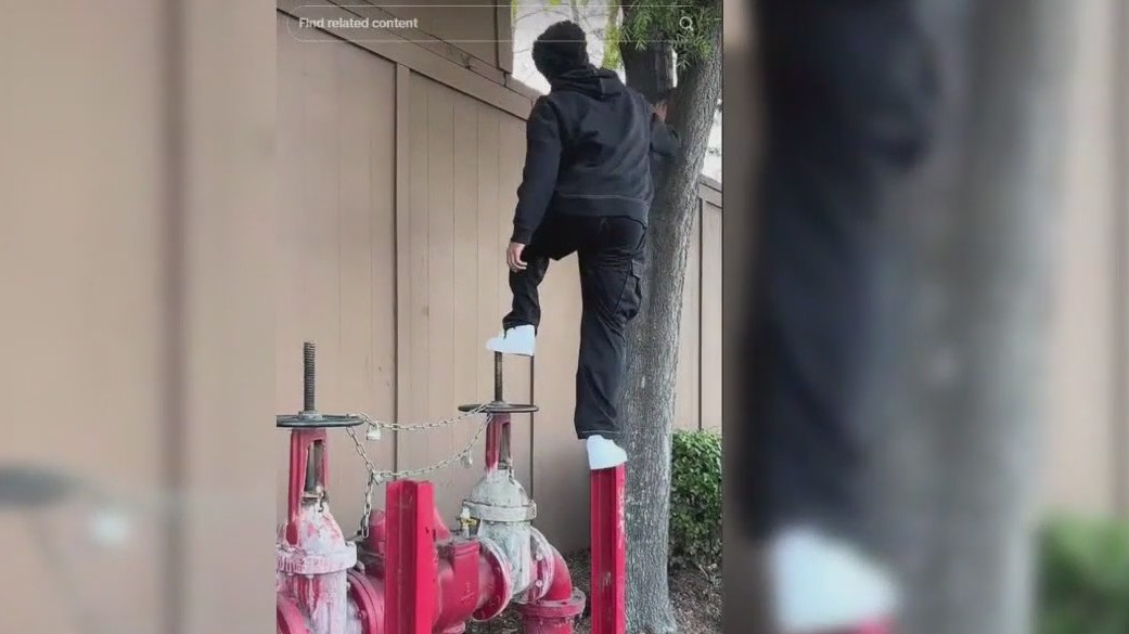 Teens sneak into Knott's Berry Farm