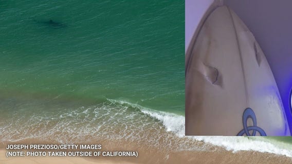 Surfer survives shark encounter along OC coast