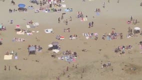 Surfer attacked by shark near San Clemente