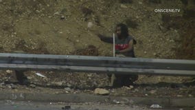 Cars damaged after rocks thrown onto 110 Freeway