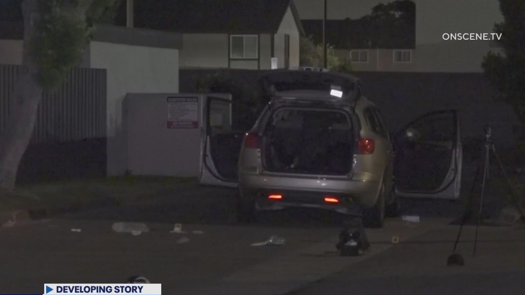 Rideshare driver shoots alleged attacker