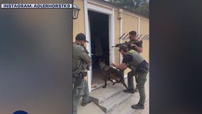 LA City turns down dog donations over company name