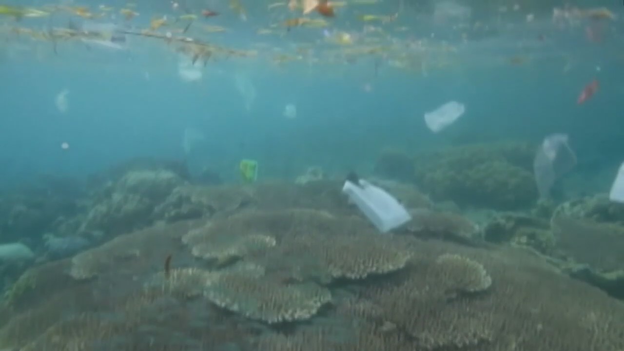 Detroit City Council supports state bill that would regulate single-use plastics