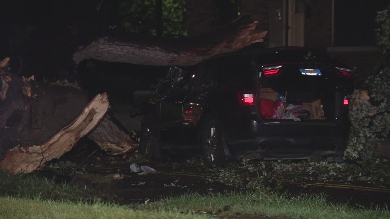 23-year-old passenger killed in Detroit car crash after colliding with fallen tree